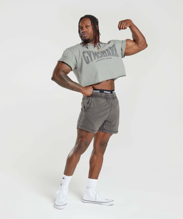 Heritage 5" Shorts Onyx Grey - immagine 4
