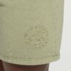 Premium Legacy Shorts Natural Sage Green - immagine 5
